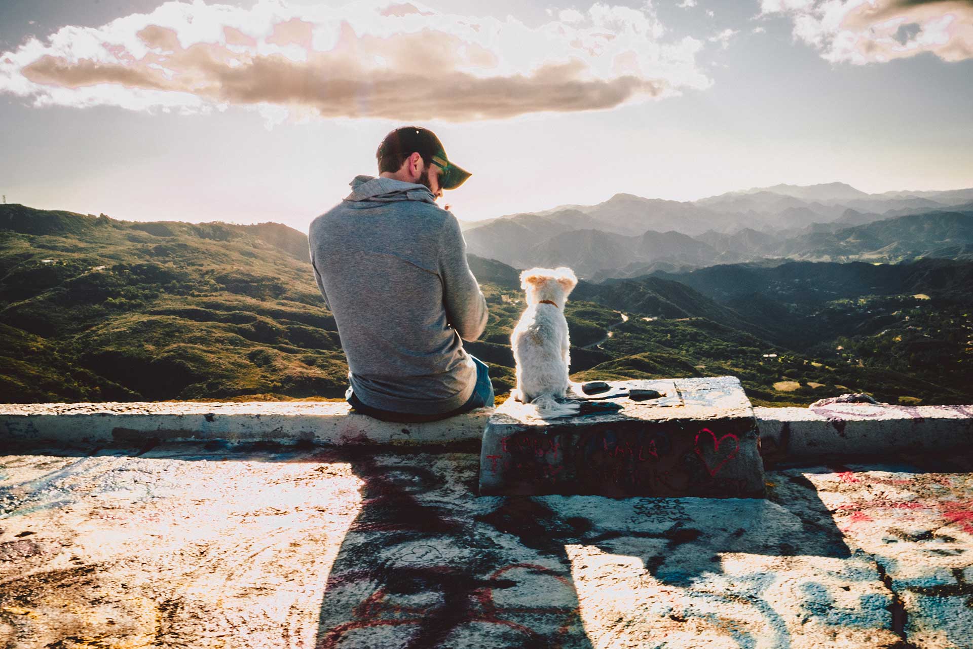 man sitting on a ledge looking down at his white dog